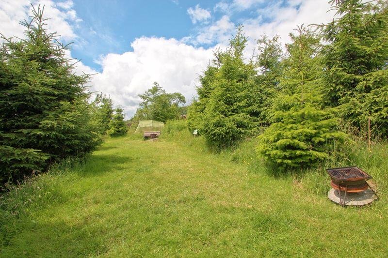Hill Top, Ings (5 mins from Windermere), Lake District, Cumbria – photo 33 of 38
